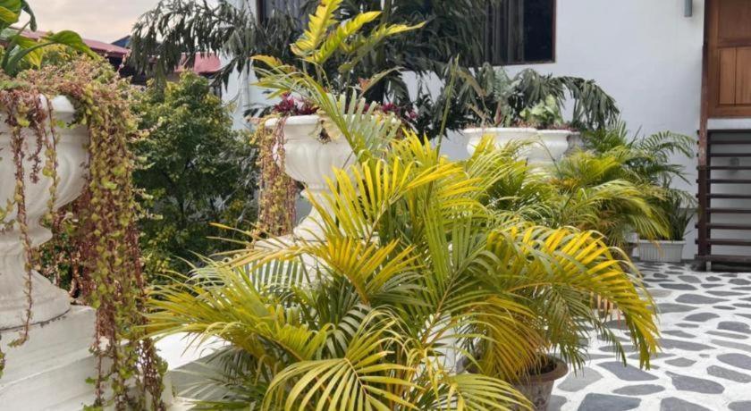 Club Denovo Hotel Butwal Buitenkant foto